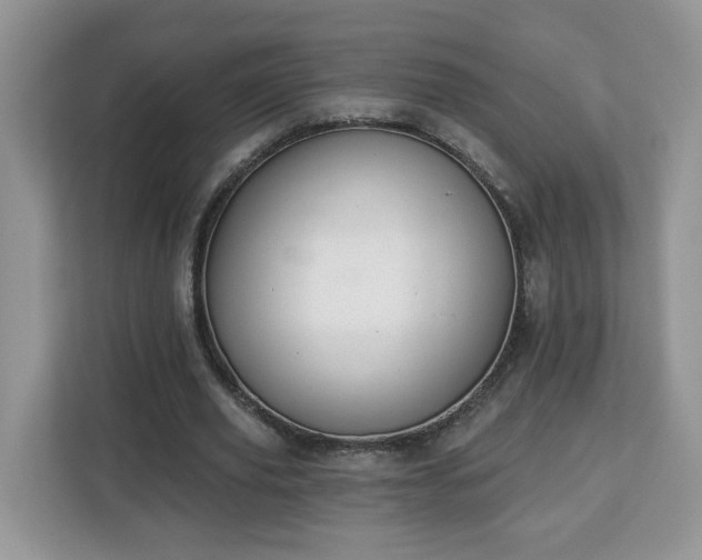 X0000112840629200908281552