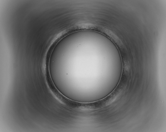 X0000112840630200908281552