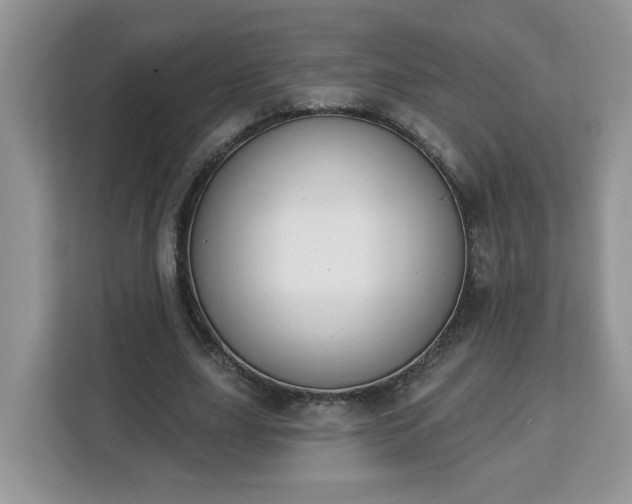 X0000112840631200908281552