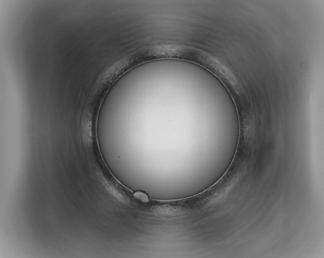 X0000112840633200908281552