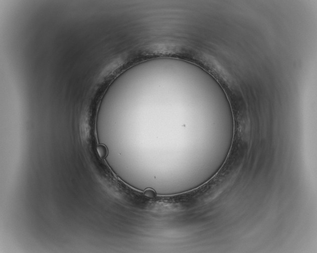 X0000112840635200908281552