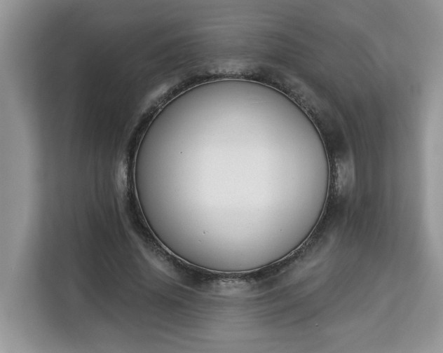 X0000112840636200908281552