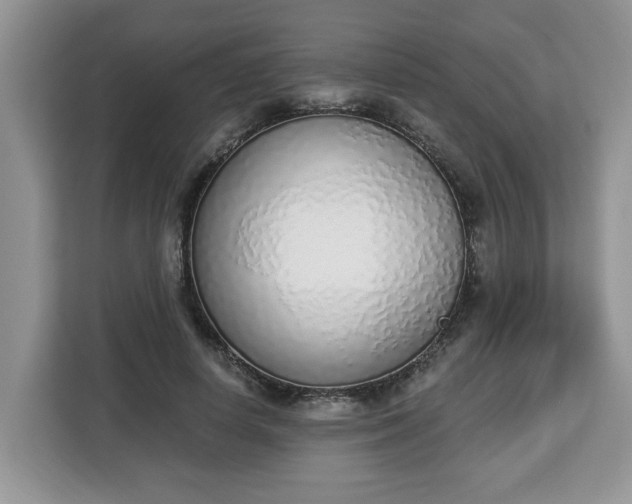 X0000112840642200908281552