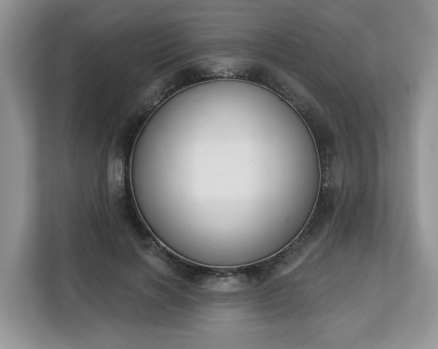 X0000112840646200908281552