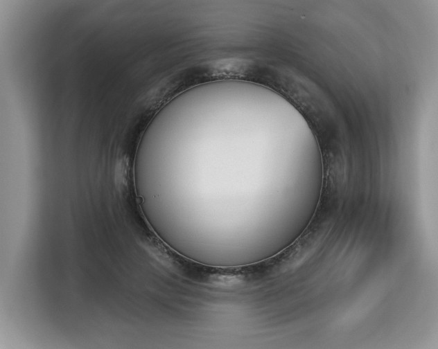 X0000112840649200908281552