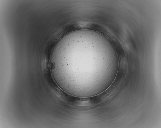 X0000112840651200908281552