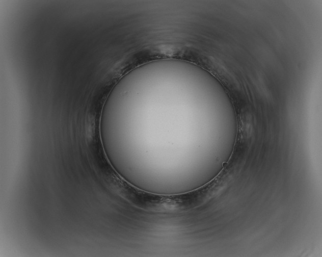 X0000112840656200908281553