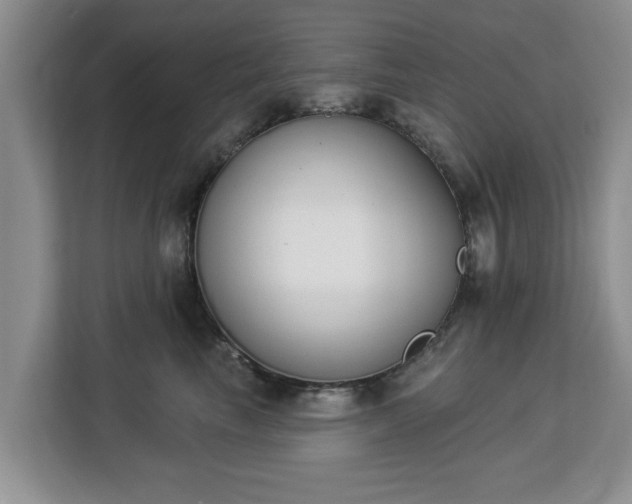 X0000112840665200908281553