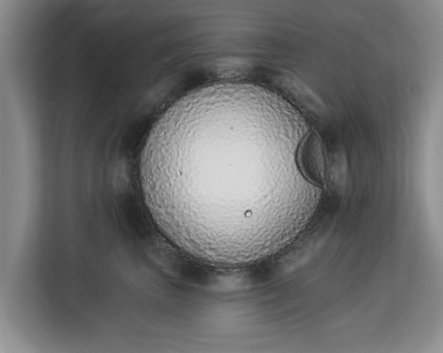 X0000112840667200908281553