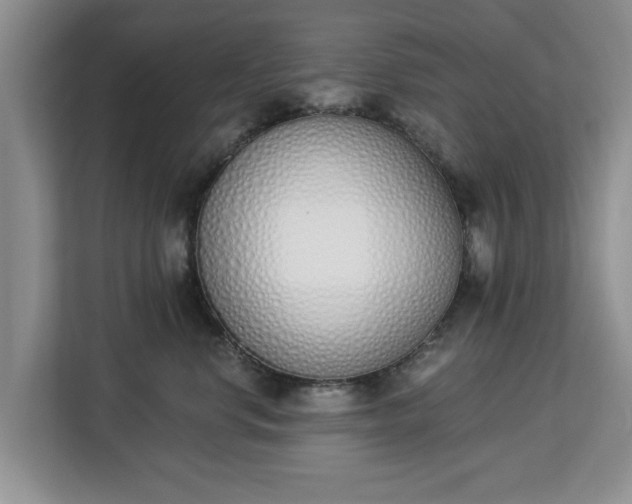 X0000112840668200908281553