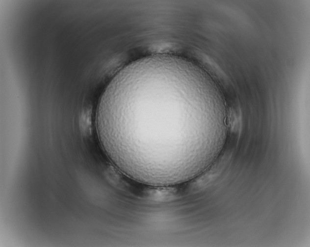 X0000112840670200908281553