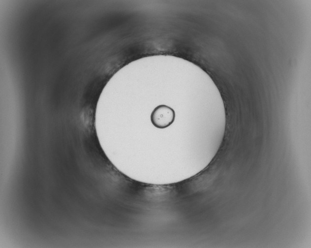 X0000112840672200908281553