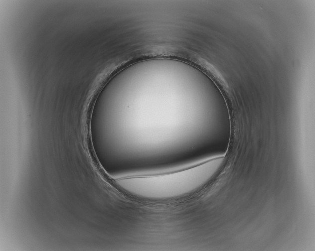 X0000112840673200908281552