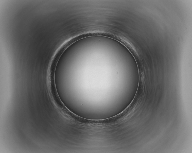 X0000112840676200908281552