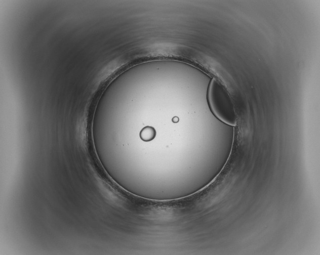 X0000112840677200908281552