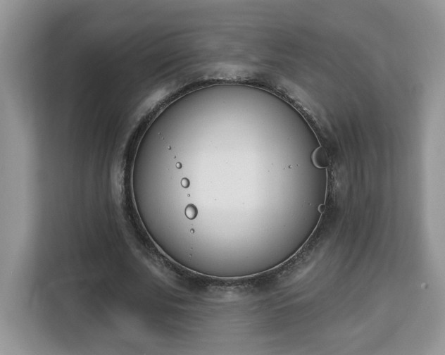 X0000112840679200908281552