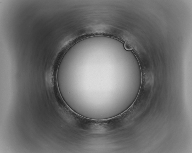 X0000112840680200908281552