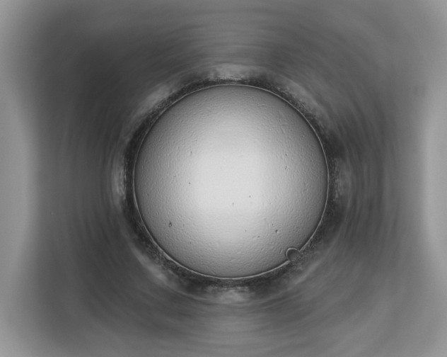 X0000112840683200908281552