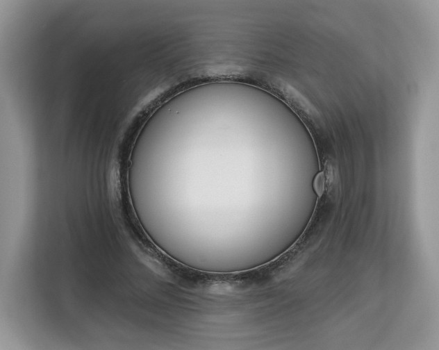 X0000112840684200908281552