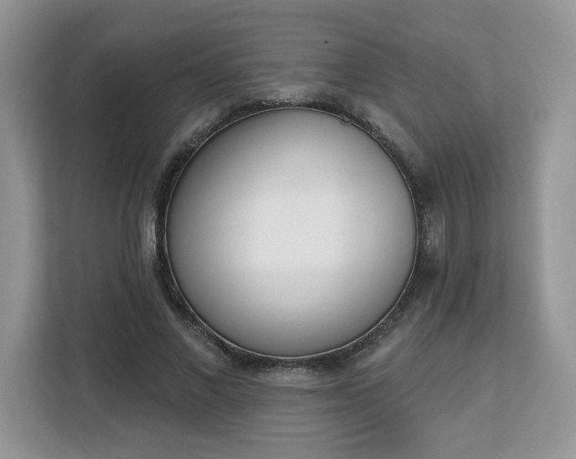 X0000112840685200908281552