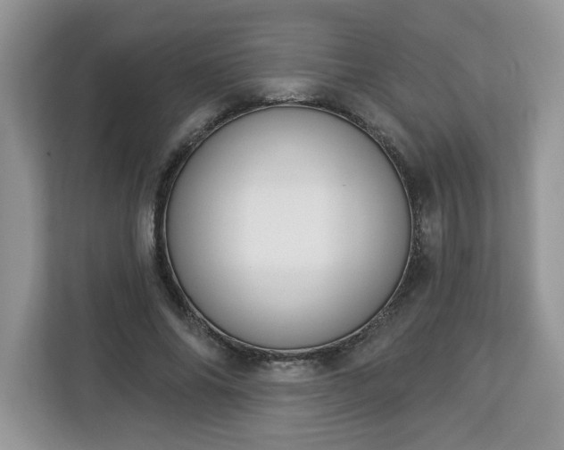 X0000112840686200908281552