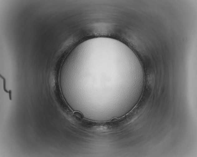 X0000112840687200908281552