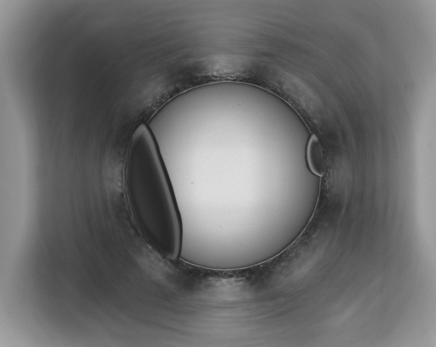 X0000112840689200908281552