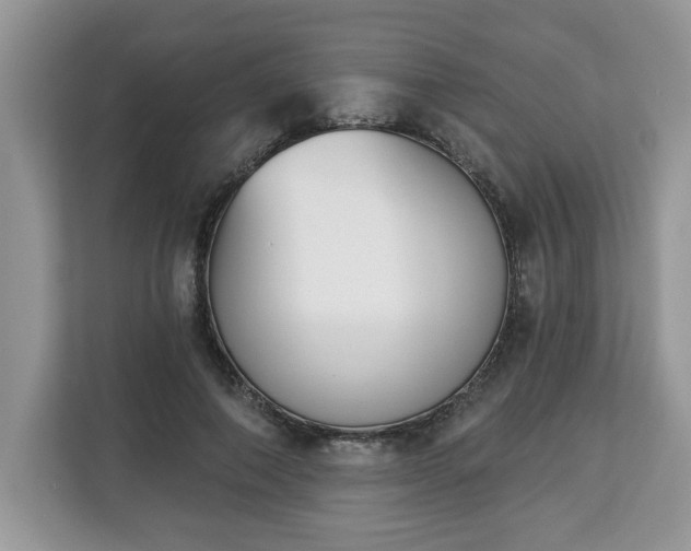 X0000112840690200908281552