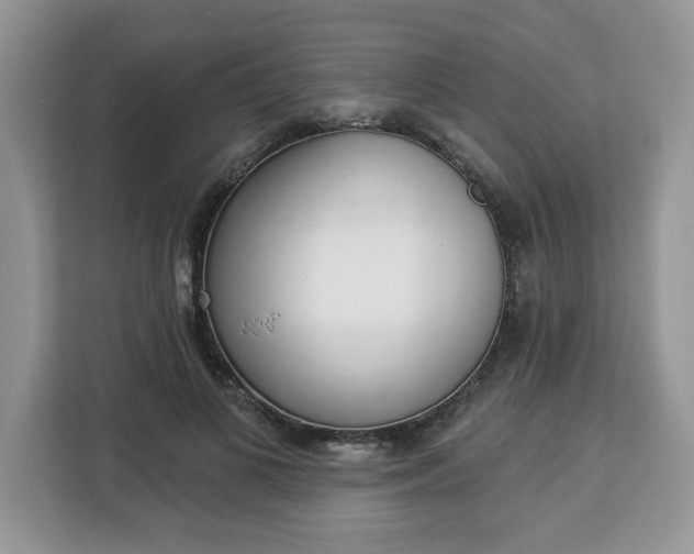 X0000112840693200908281552