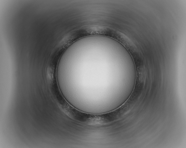 X0000112840695200908281552