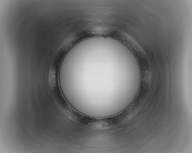 X0000112840696200908281552