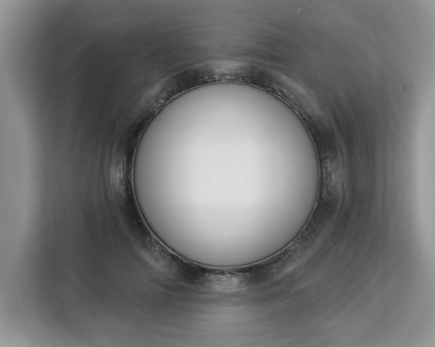 X0000112840698200908281552