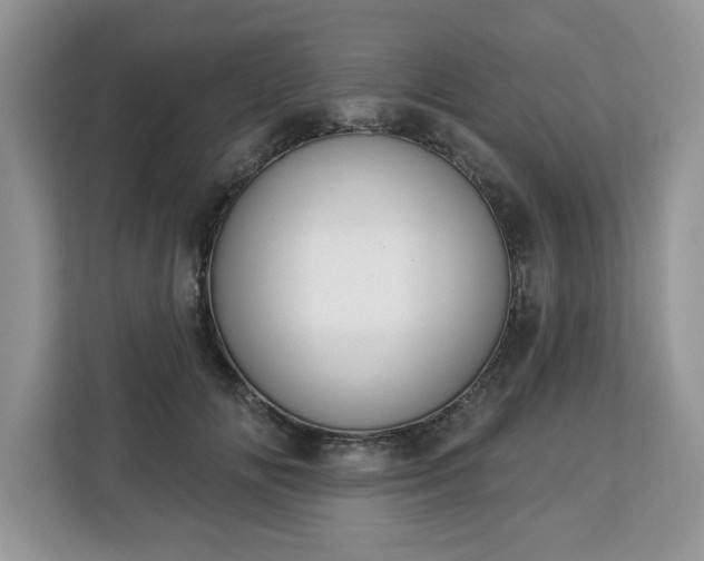 X0000112840702200908281552