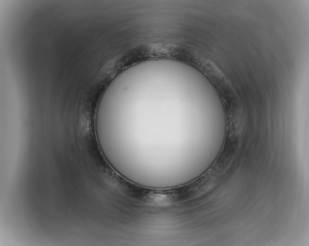 X0000112840706200908281552