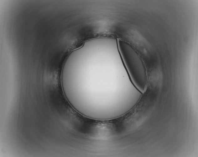 X0000112840708200908281552