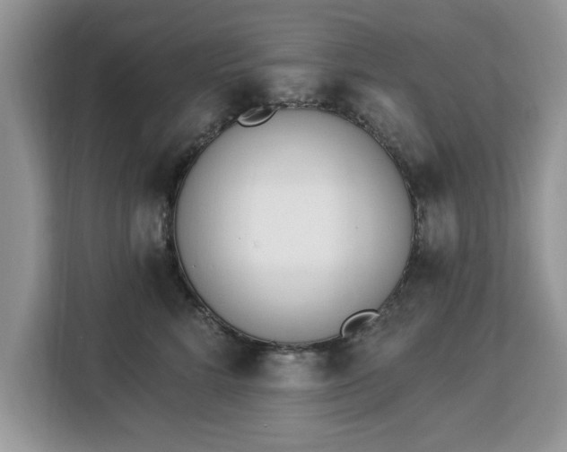 X0000112840712200908281552