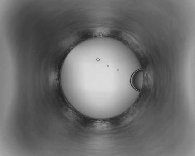 X0000112840714200908281552