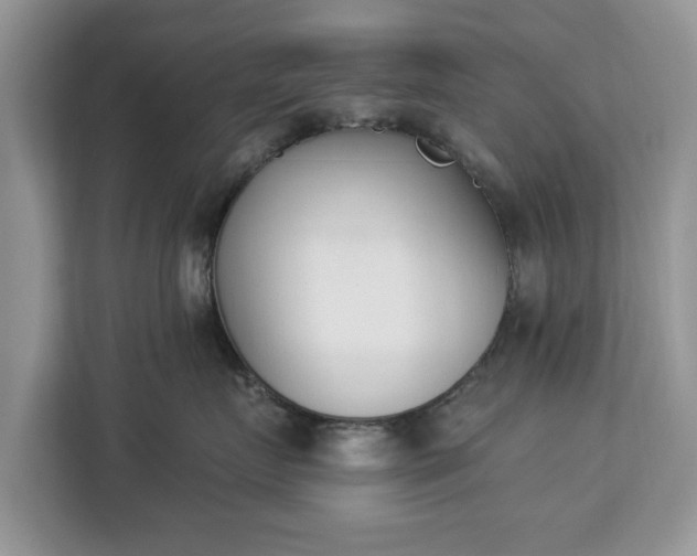 X0000112840719200908281552