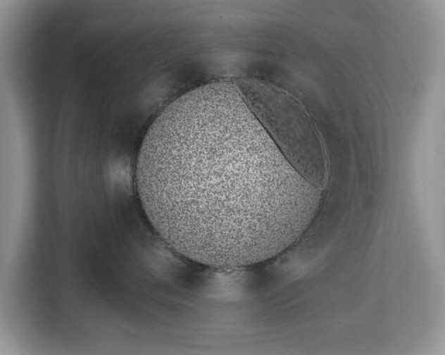 X0000112840720200908281552