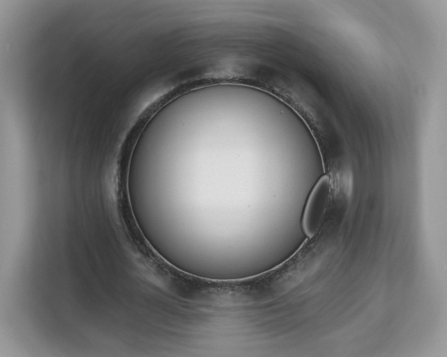 X0000112840724200908281551