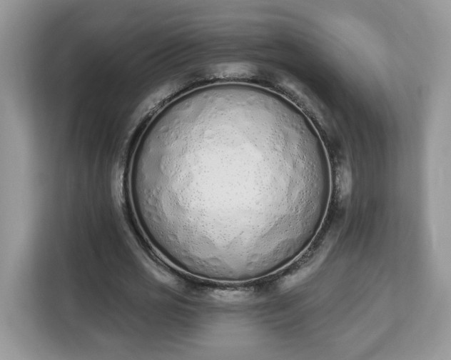 X0000112840725200908281551