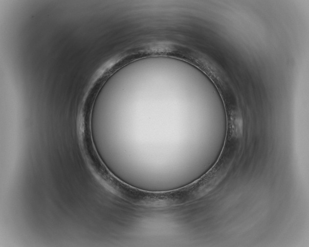 X0000112840726200908281551