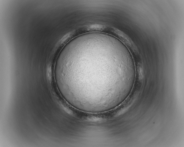 X0000112840729200908281551