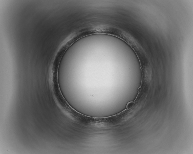 X0000112840730200908281551