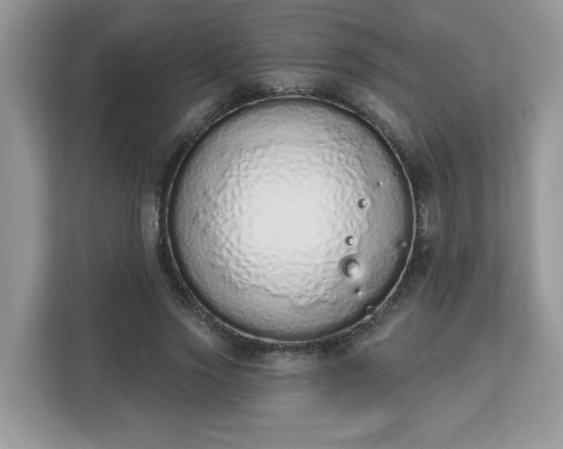 X0000112840733200908281551