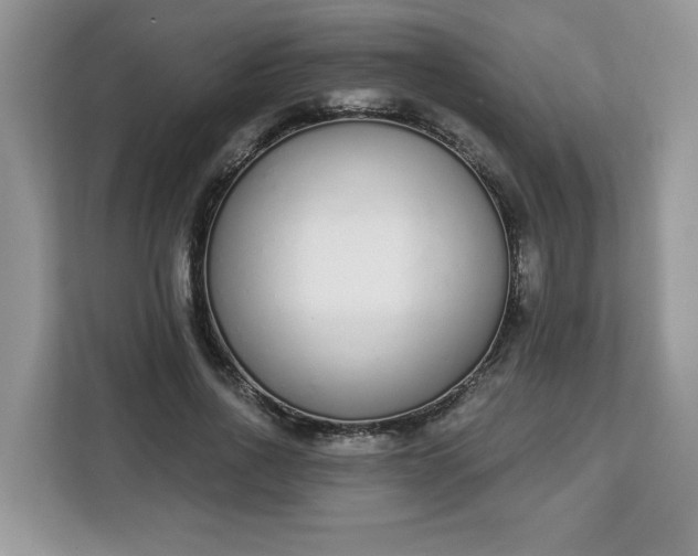 X0000112840734200908281551