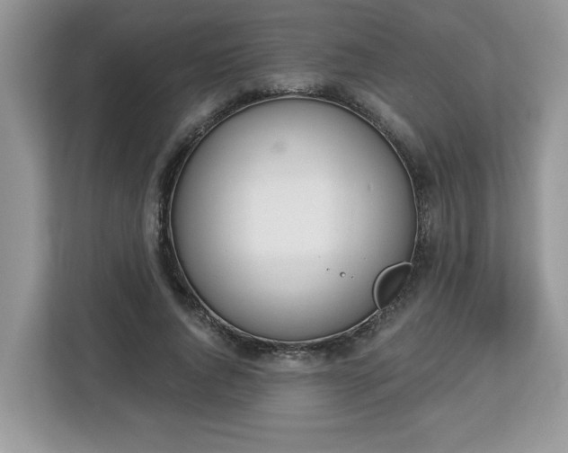 X0000112840736200908281551