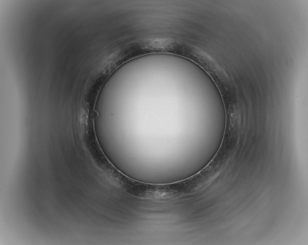 X0000112840739200908281551