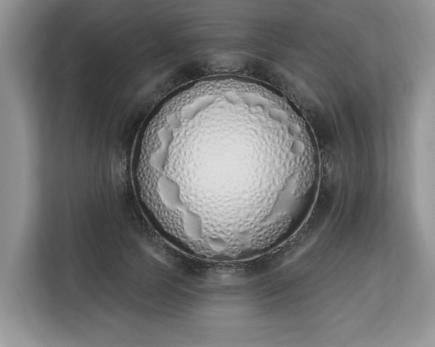 X0000112840745200908281551