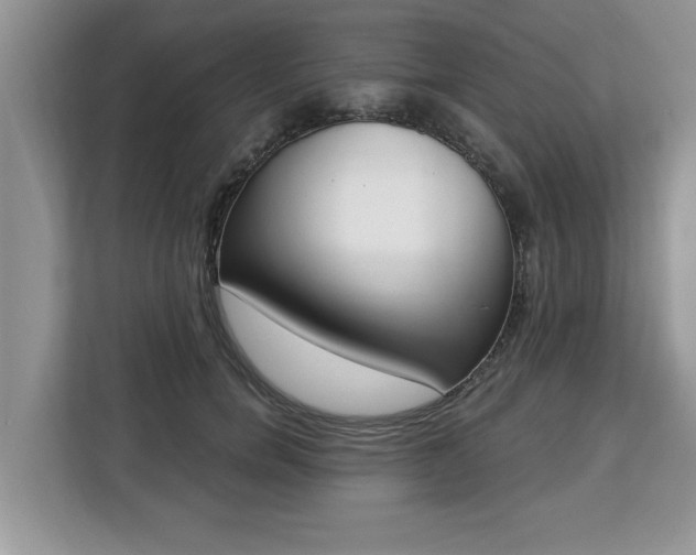 X0000112840750200908281551